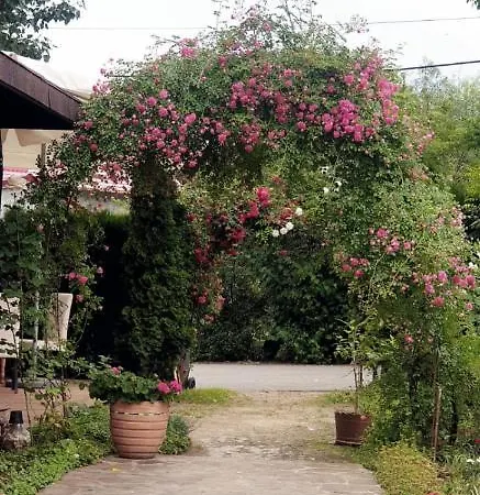 Casa Colinelor Urlati